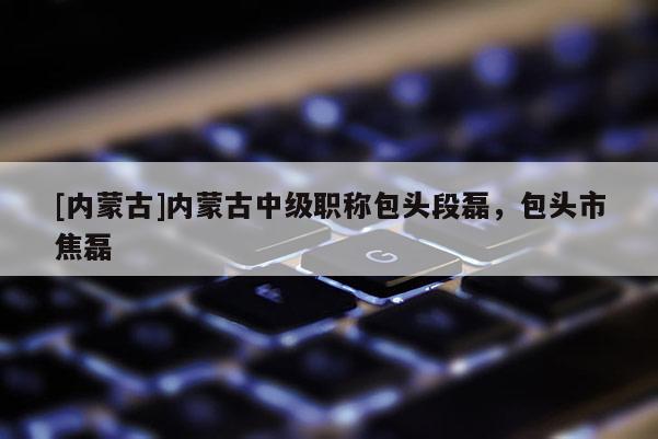 [内蒙古]内蒙古中级职称包头段磊，包头市焦磊